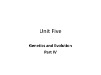 Chapter 5 - IV.pdf
